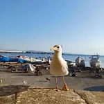 и анхиало بيت ضيافة 3*